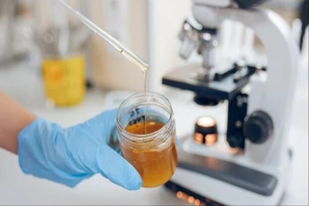 honey-testing-services
