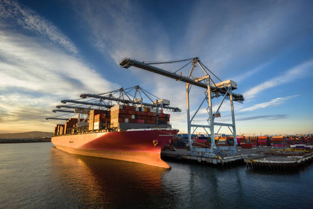 honeylogistics