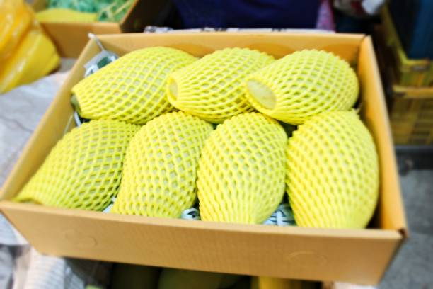 Mango in a box wrapped in foam for export to the country